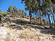  往 Horca del Inca 的山路