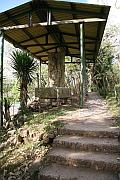 小徑旁的瑪雅雕刻石柱