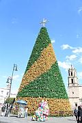 Plaza Melchor Ocampo 的聖誕樹