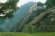 墨西哥 Palenque（帕連克 / 帕倫克）