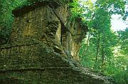 Temple of Jaguar